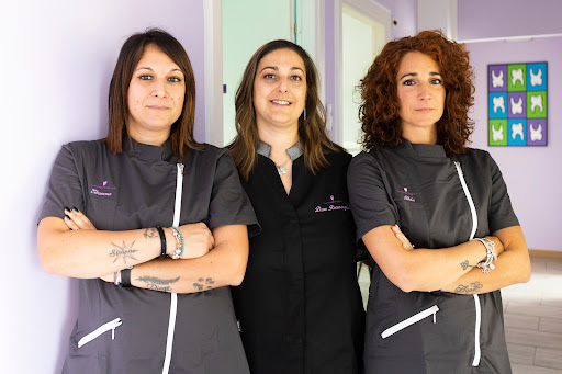 Studio Dentistico L'Ametista logo