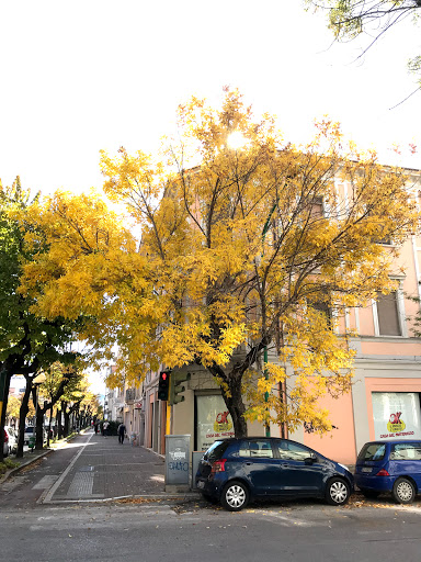 Studio Dentistico FALMED logo