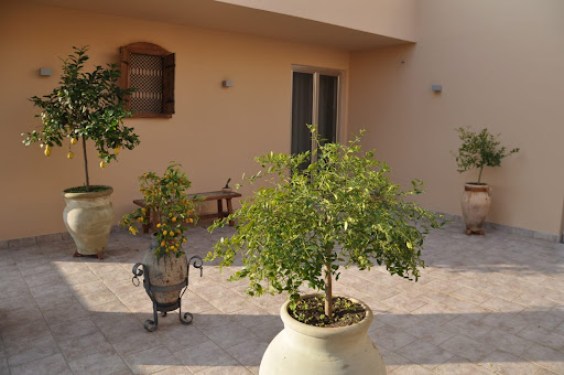 Studio Dentistico Medico Genovese logo