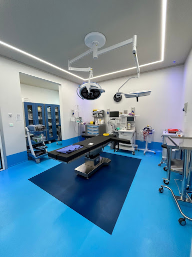 Studio Dentistico Ireos Dental Firenze logo