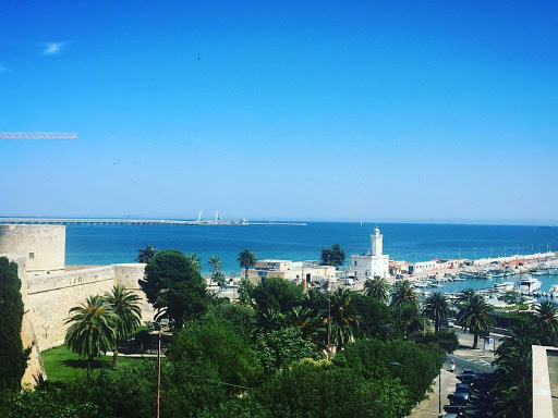 Studio Dentistico dottori d'Errico logo